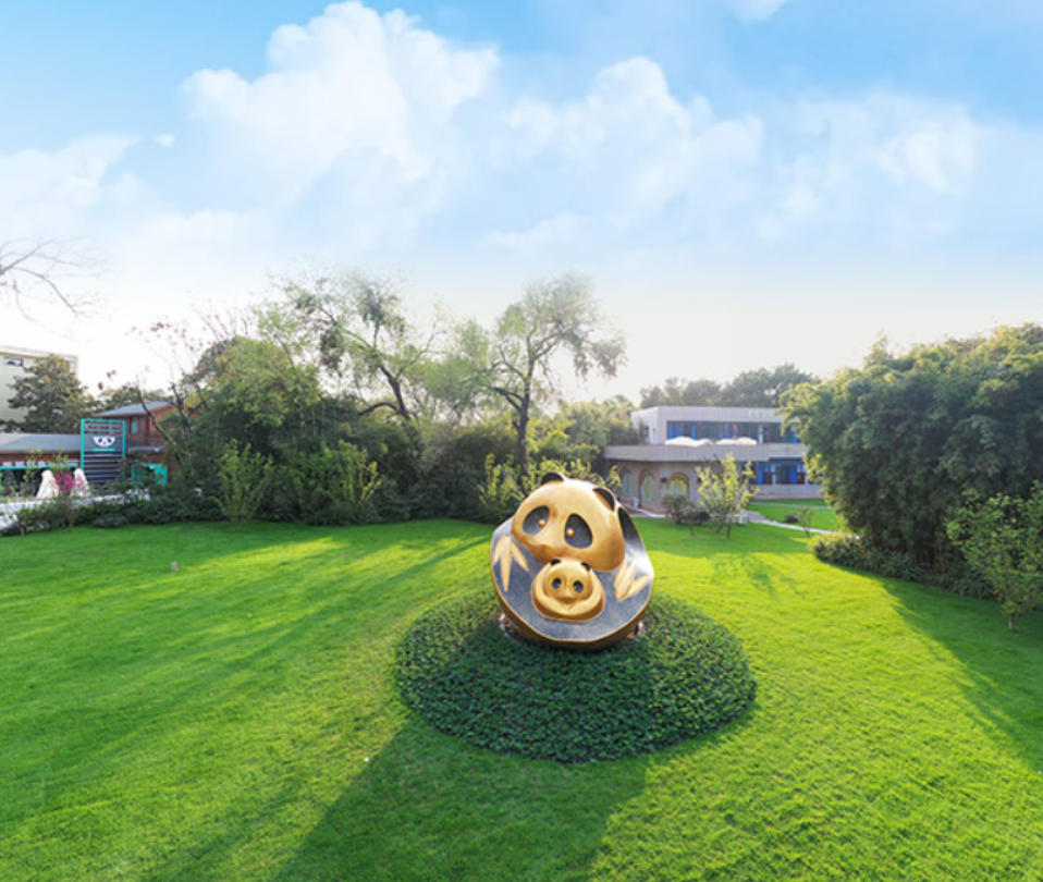 One Day, Three Wonders: Panda Cuteness + Ancient Wisdom + Urban Charm!